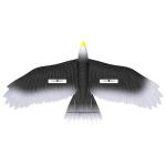 3-Ch RC Bird Plane Fly Toy RC Airplane EPP Model Eagle Toys Glider Jet