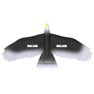 Wholesale 3 Led Light Easy Play 56cm Epp Material Electric Rc Eagle Glider With Remote Outdoor Play for the Whole Family from china suppliers