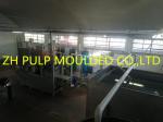 Biodegradable Bagasse Pulp Production Line , Bagasse Plate Machine 440V