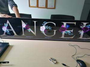 Wholesale Shop Window Stretched Bar Display High Brightness 700 Nits 1920 * 450 Resolution from china suppliers