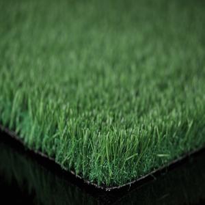 Wholesale Ski Slope Plastic Lawn Grass / Plastic Grass Mat 3 Colors 30mm Pile Height from china suppliers
