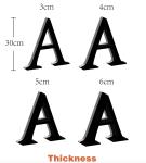 Stainless Steel LED Backlit Snow Business Wall Logo for Indoor and Outdoor