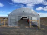 Single Span Plastic Film Agricultural Greenhouses For Madical Plants