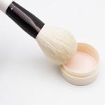 10PCS Multifunctional Goat Hair Makeup Brush Set 19*4cm