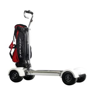 Wholesale 1000W 60V 4 Wheel Skateboard 10.5inch Tire 60km Range For Adults Playing Golf from china suppliers