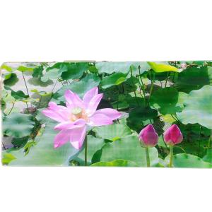 China SDK RGB Outdoor Waterproof LED Screen , Practical Outdoor Digital Advertising Board on sale