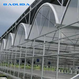 Wholesale Agricultural Shed Large Polycarbonate Sheet Greenhouse Steel Pipe Light Material from china suppliers