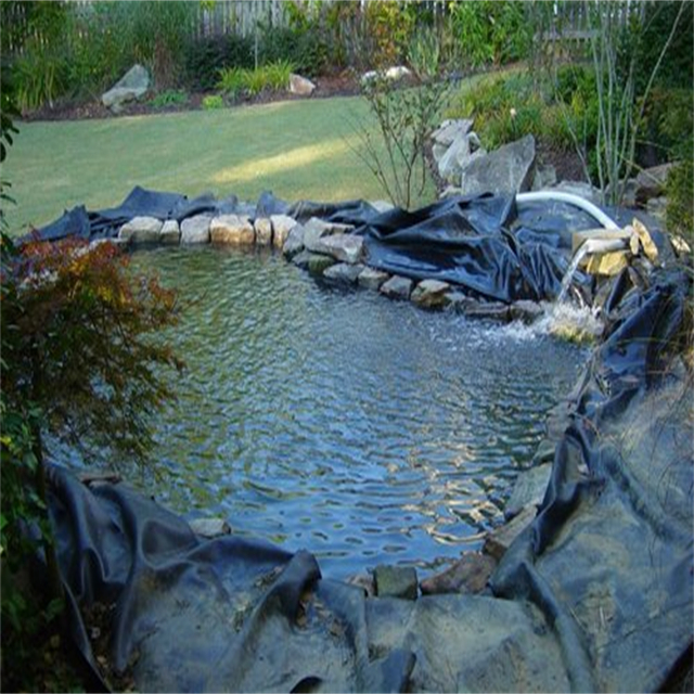 Anti-UV HDPE Geomembrane Liner 45 mil 60 mil Plastic Liner for Fish Pond Width 2m-8m