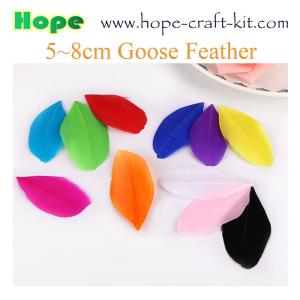 Wholesale 5~20mm ostrich feathers, goose feathers, turkey feathers, chicken feathers, peacock , for hobbies and kids DIY from china suppliers