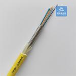 12 Cores Single Mode Spiral Armored Fiber Cable 6.0mm Yellow LSZH Rodent