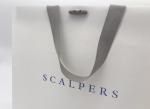 Corporate Retail Branded Carrier Bags With Own Logo , Branded Paper Bags with