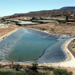 0.5mm 1mm 1.5mm 2mm HDPE Geomembrane for Fish Pond Liners in Industrial Design
