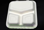 Biodegradable, Sugar Cane, Sugarcane Bamboo Pulp, Bento Box, Bagasse Food