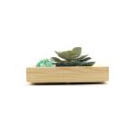Wooden frame for holding photo picture plant