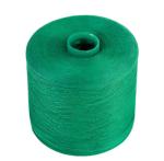 20/2 20/3 40/2 40/3 Color Yarns Ring Spun Dyed Polyester Yarn for sewing