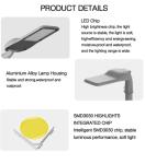 High Power Light Fancy Road Park Lighting Die Cast Aluminium Led Street Light