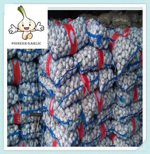 Wholesale Jining Shandong Pure White Fresh Garlic, Jining Natural Garlic from china suppliers