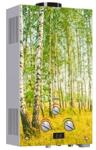 Gas Water Heater