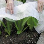 Landscape 20gsm Non Woven Plastic Mulching Film