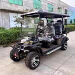 4 6 Seater Electric Street Legal 8 Bus Offroad Man Golf Carts Buggy Car