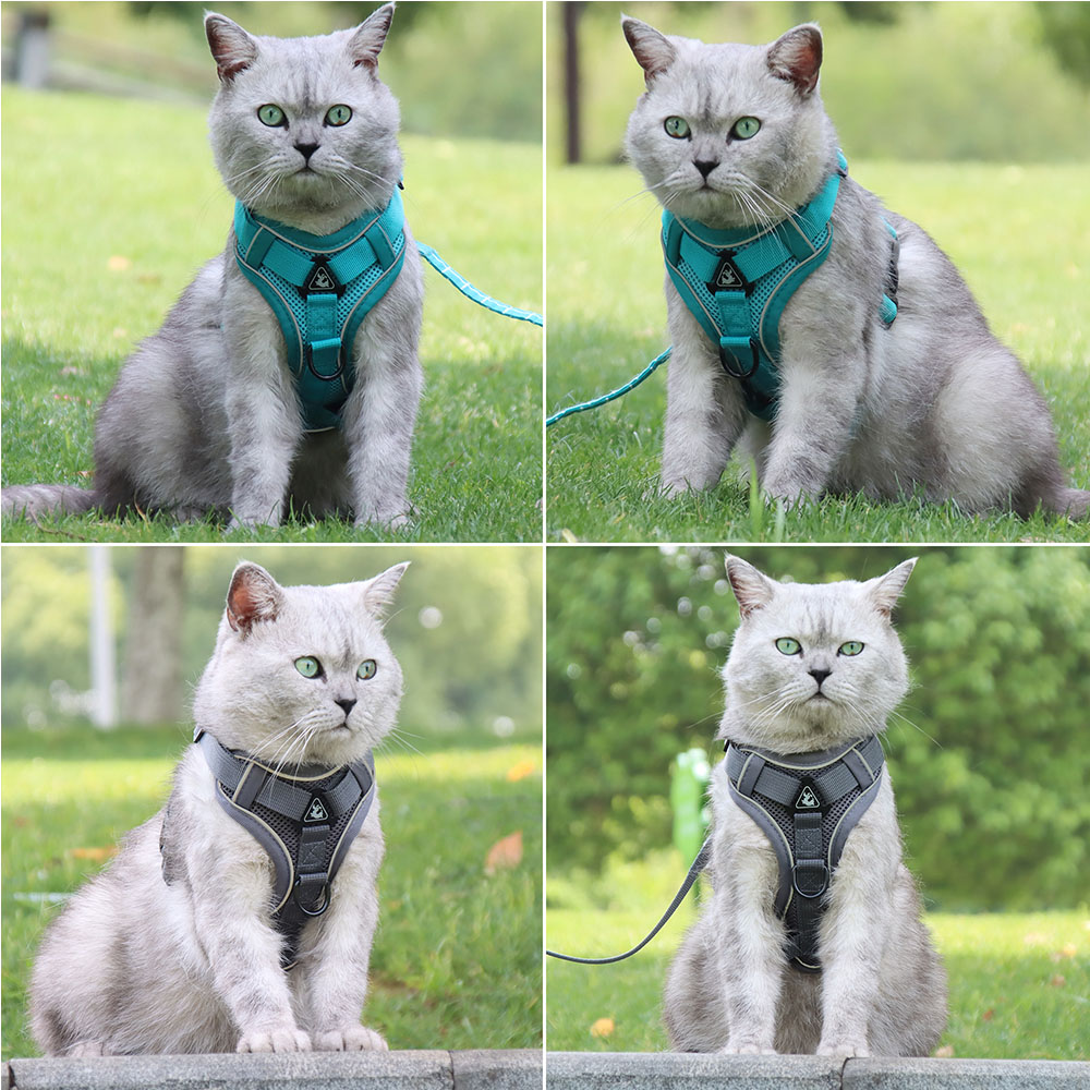 Adjustable Breathable Dog Vest Safety 1.5m Traction Leash No Pull Dog Harness Set Personalized for Safe and Stylish Walks