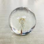 Home Decoration Dandelion Paper Weight , Acrylic Flower Resin Paperweight