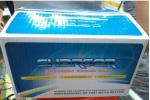 General Maintenance 40a 12v 24v 48v Automatic Battery Charger For Lead Acid