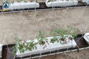 Wholesale Greenhouse Soilless PP Roll Grow Troughs Folded Cultivation Gutter Cocopeat Plant Trough from china suppliers