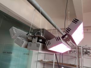 Wholesale 150W Plant light led hanging grow light for greenhouse vegetable growing RGB rLED horticulture lighting 85% save energy from china suppliers