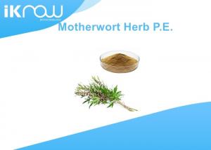China Natural Plant Motherwort Extract , Motherwort Herb P.E Herba Leonuri Powder on sale