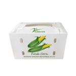 PP/PE plastic box for Fruits and vegetables