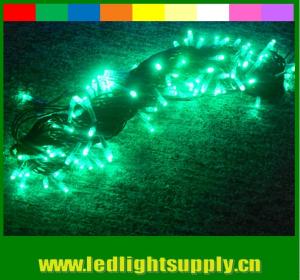 Wholesale New arrival rgb color changing led christmas lights 110v 24v waterproof from china suppliers