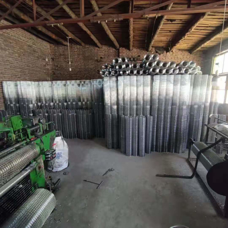 Pvc Coated Galvanized Bwg20 1x1 Welded Wire Mesh