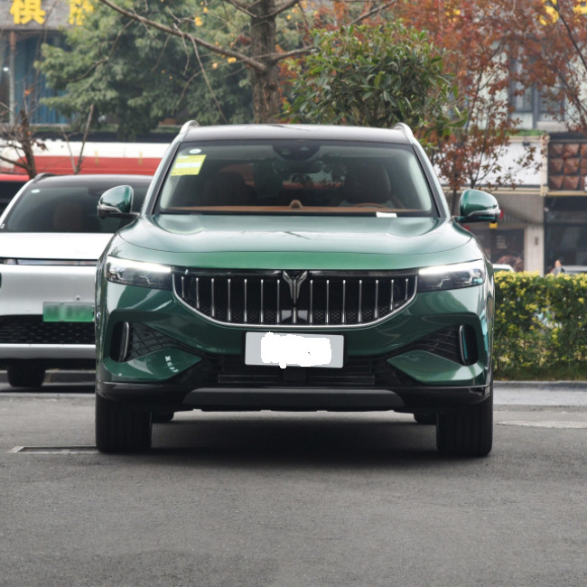 VOYAH Free 2021 Two Drive Pure Electric Version SUV Large Middle