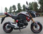 Motocross Street Legal Black Color over 80km/h Max Speed Hydraulic Suspension