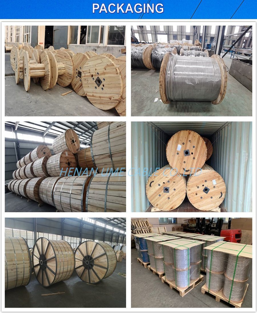 IEC ASTM En Standard Overhead Conductor Bare Conductor AAAC AAC Round Aluminum Conductor Price