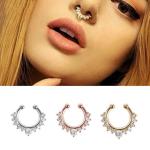 New Arrival Alloy Hoop Nose Ring Nose Piercing Fake Piercing Septum Clicker