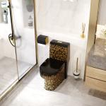Floor Mounted 3L 6L 1 Piece Comfort Height Toilet Super Swirl Flush
