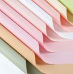 New Tide Paper Thick Matte Film Floral Flower Packaging Paper