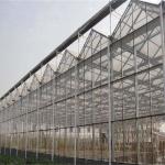 Large Venlo Glass Greenhouse Perfect Fit For Plant Growth Needs