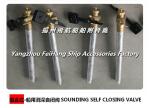 About marine sounding self-closing valve, foot-type self-closed sounding self