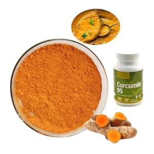 Wholesale Orange Yellow Turmeric Root Extract 95% 98% Curcumin Extract Powder For Food from china suppliers
