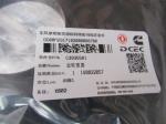 Genuine Cummins COVER,GEAR 3935581