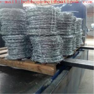 China barbed wire for sale near me/buy wire fencing/where can i buy barbed wire/iron fencing wire/bulb wire fence price on sale