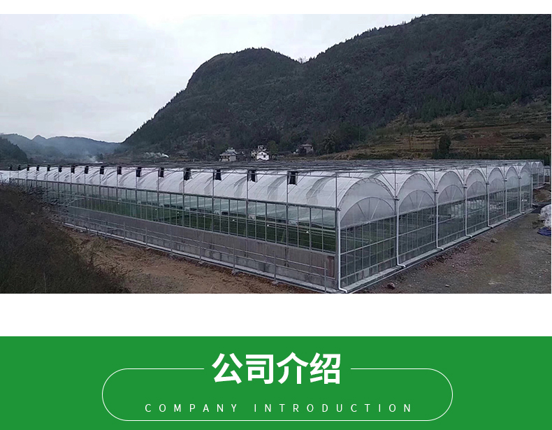 Multi-Span Agricultural Greenhouses Double Layer Vertical Hydroponic System Upgrade