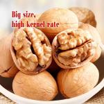 Lowest Price Wholesale Factory Price Xinjiang Xingfu Washed and Unwashed walnuts