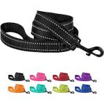 Heavy Duty Nylon Dog Leash