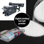 Adhesive DTF Powder 1kg White Hot Melt Powder For DTF Shaking Machine DTF Oven