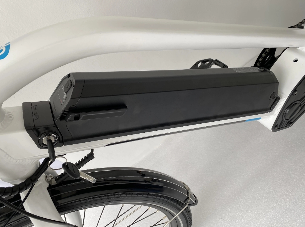 20 Inch Wheel Disc Brake Cargo E Bike 48V 500W With 14.5Ah 21Ah 24.5Ah Lithium Battery