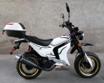 4 Stroke Adult Motor Scooter Single Cylinder 150cc With Sports Style